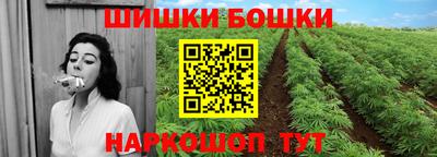 соль ск Будённовск