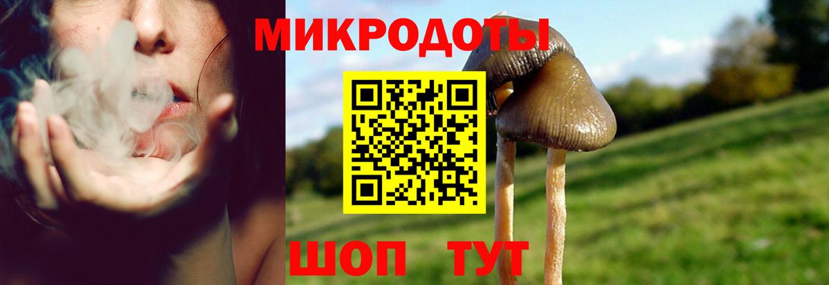 Семилуки  Галлюциногенные грибы ЛСД  Вход с VPN 